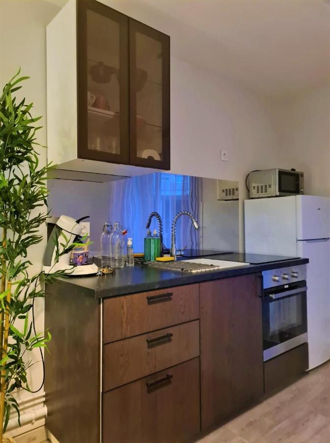 Grand Studio Lyon Villeurbanne Proche Metro - Wifi Εξωτερικό φωτογραφία